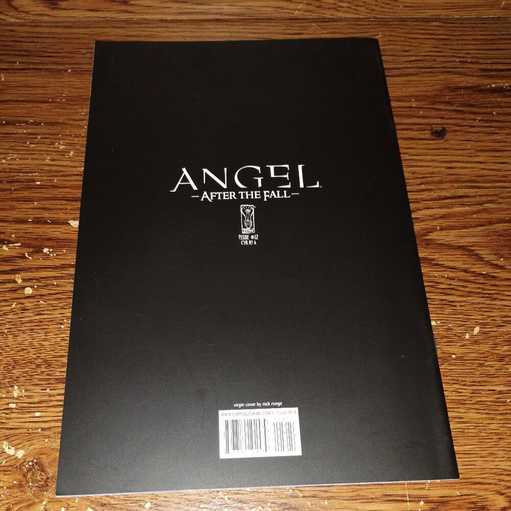 Angel: After the Fall #12 (IDW Comics, 2008)  Cover Variant A